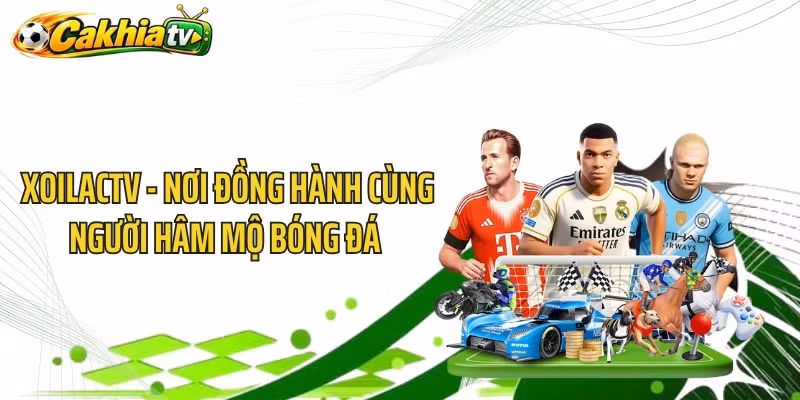 XoilacTV – Nơi Đồng Hành Cùng Người Hâm Mộ Bóng Đá 